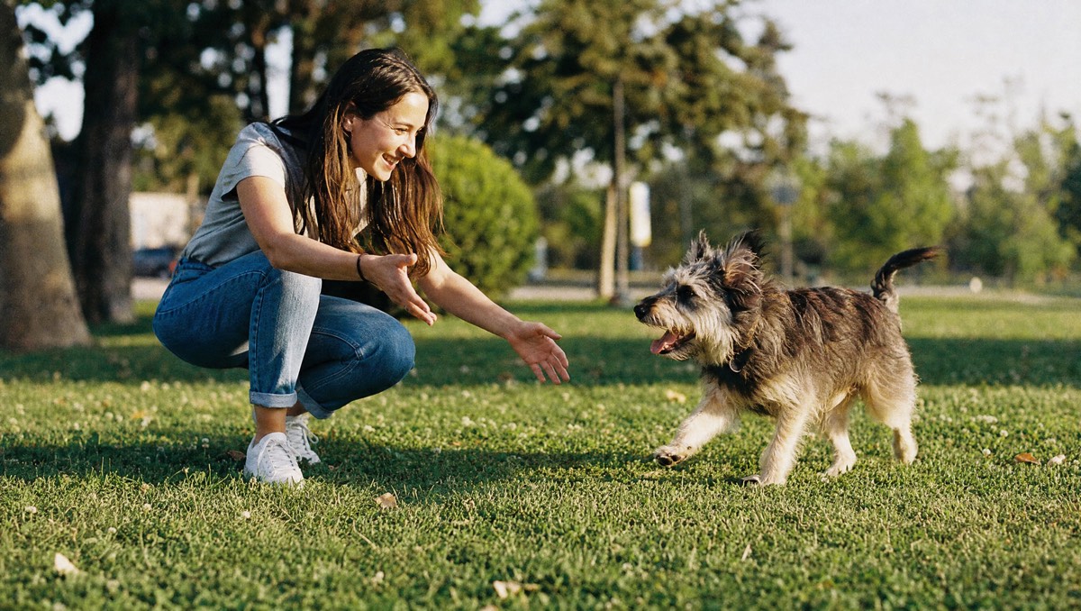 Everything to choose and care for your pet